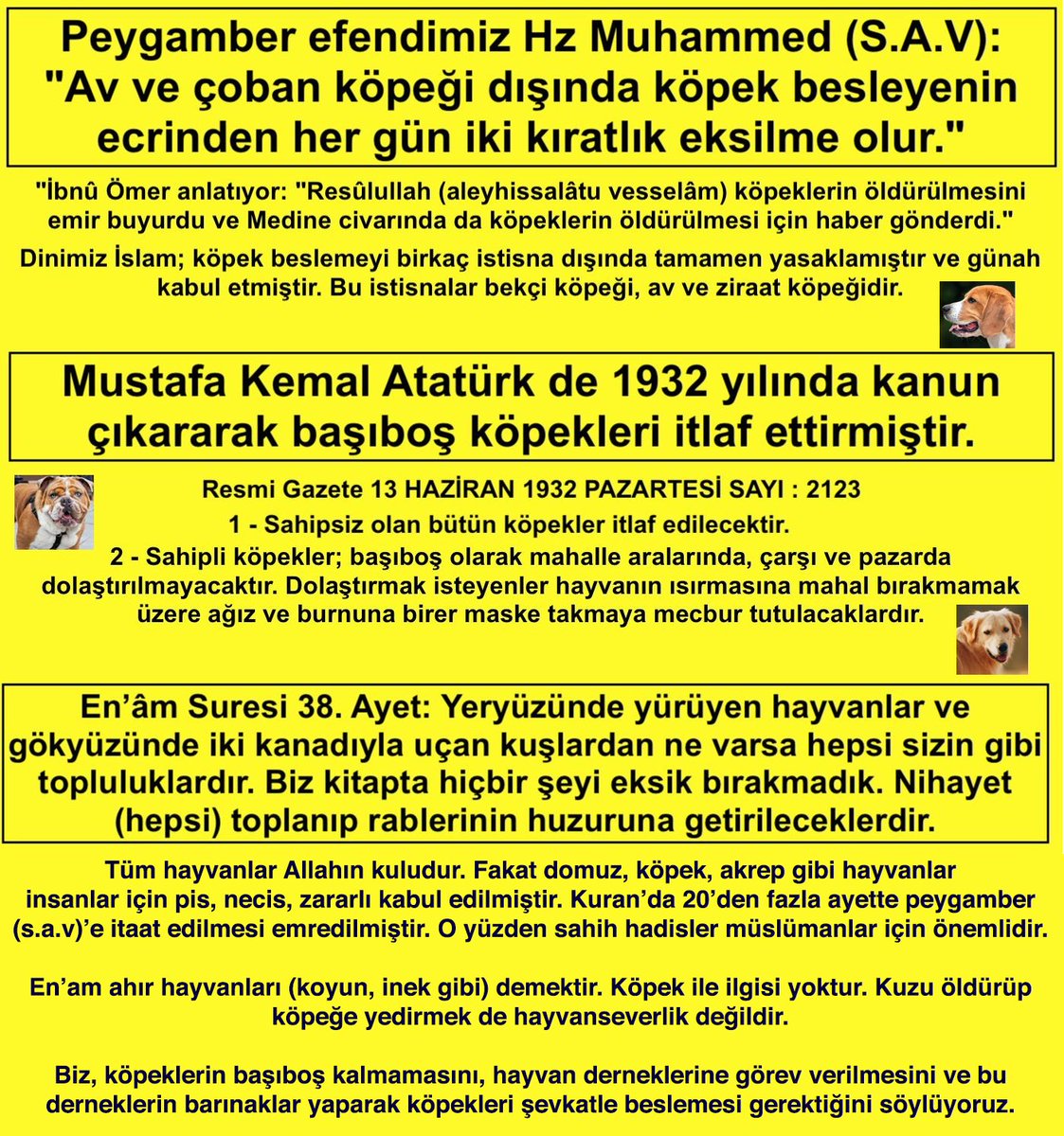 dirilisyolunda's tweet photo. Köpekçiler eğer Atatürkçü olsaydı onun izinden giderlerdi!

Biz köpekler barınaklarda yaşasın sokakta başıboş olmasın diyoruz.

  Melih Gökçek Rezan #ByLockKullananAKPliler #SüleymanÇakır Ertem https://t.co/apOsXpWchS