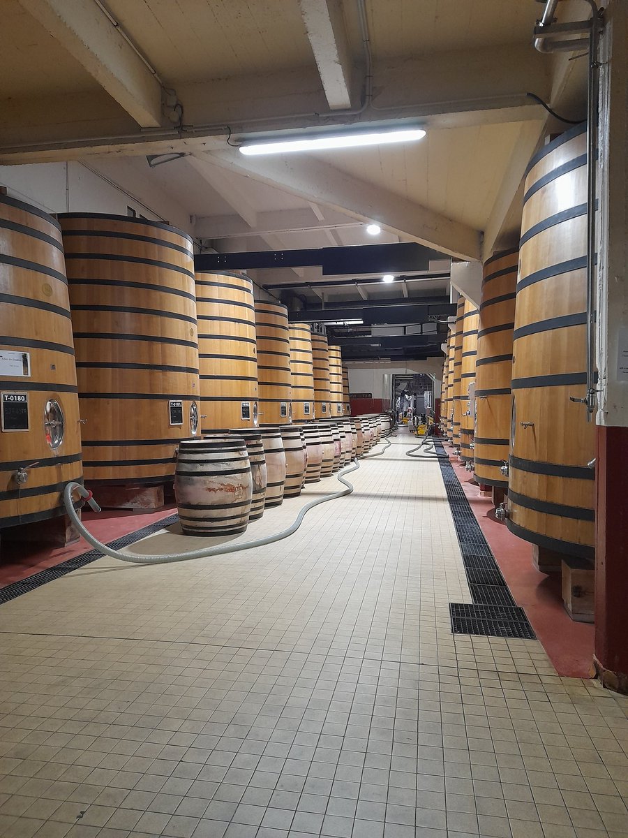 Ferrier Jean Michel tweet media