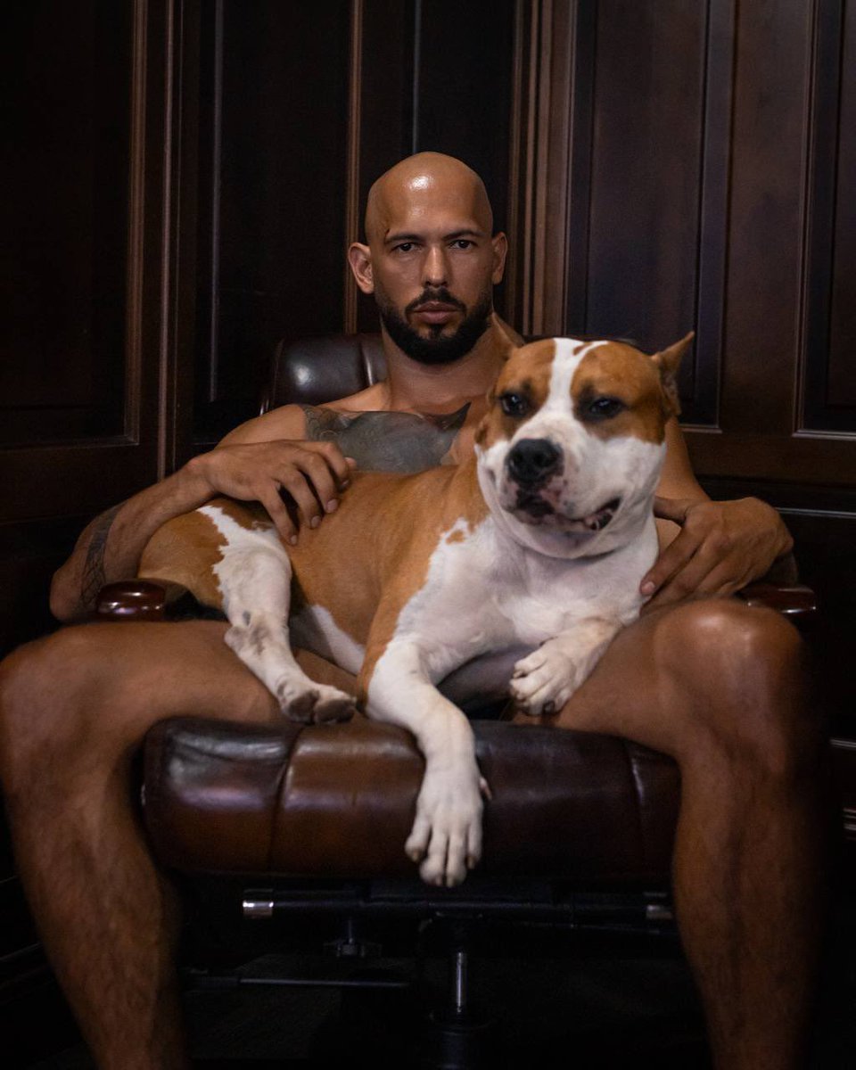 <a href="/blknoiz06/">Ansem</a> The Top $G <a href="/GTatesDog/">AndrewTate’sDogG</a> is here to takeover

@DrakesDogSOL better watch out 👀

t.me/GTatesDog