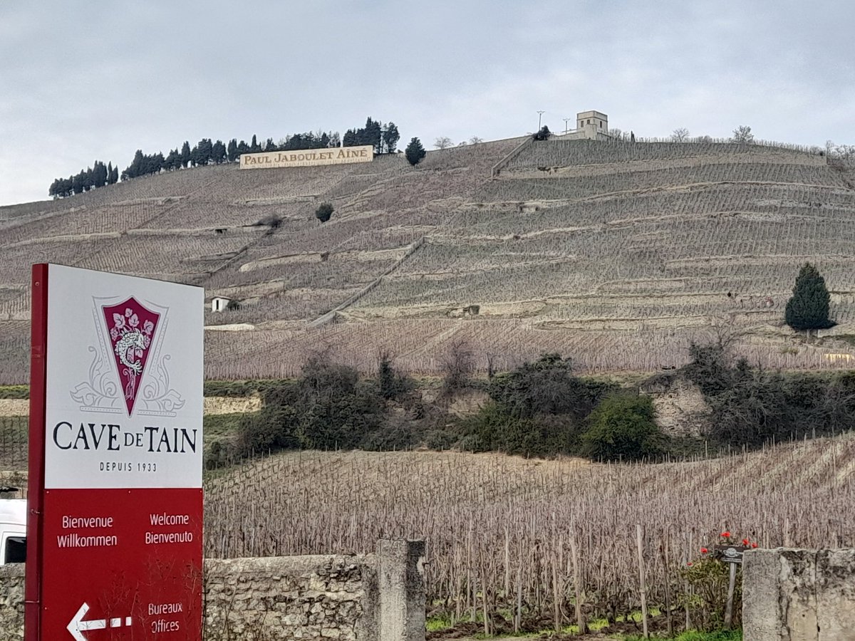 Ferrier Jean Michel tweet media