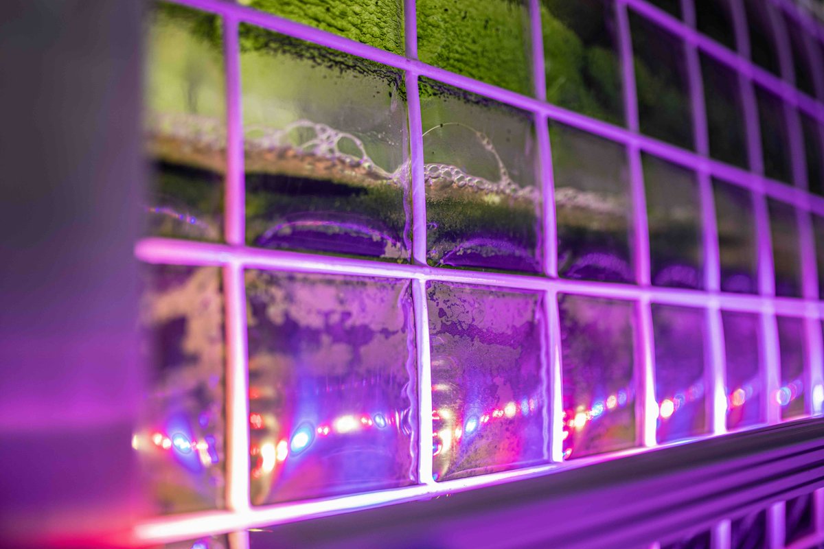 autodesk's tweet photo. @prometheusmats produces #biocement using naturally occurring microalgae — a sustainable alternative to carbon-intensive cement and concrete. 

Working with @AutodeskFdn, Prometheus has access to software and resources to scale its solution: https://t.co/jx607JJjNf. #MakeAnything https://t.co/gmubEYL6si