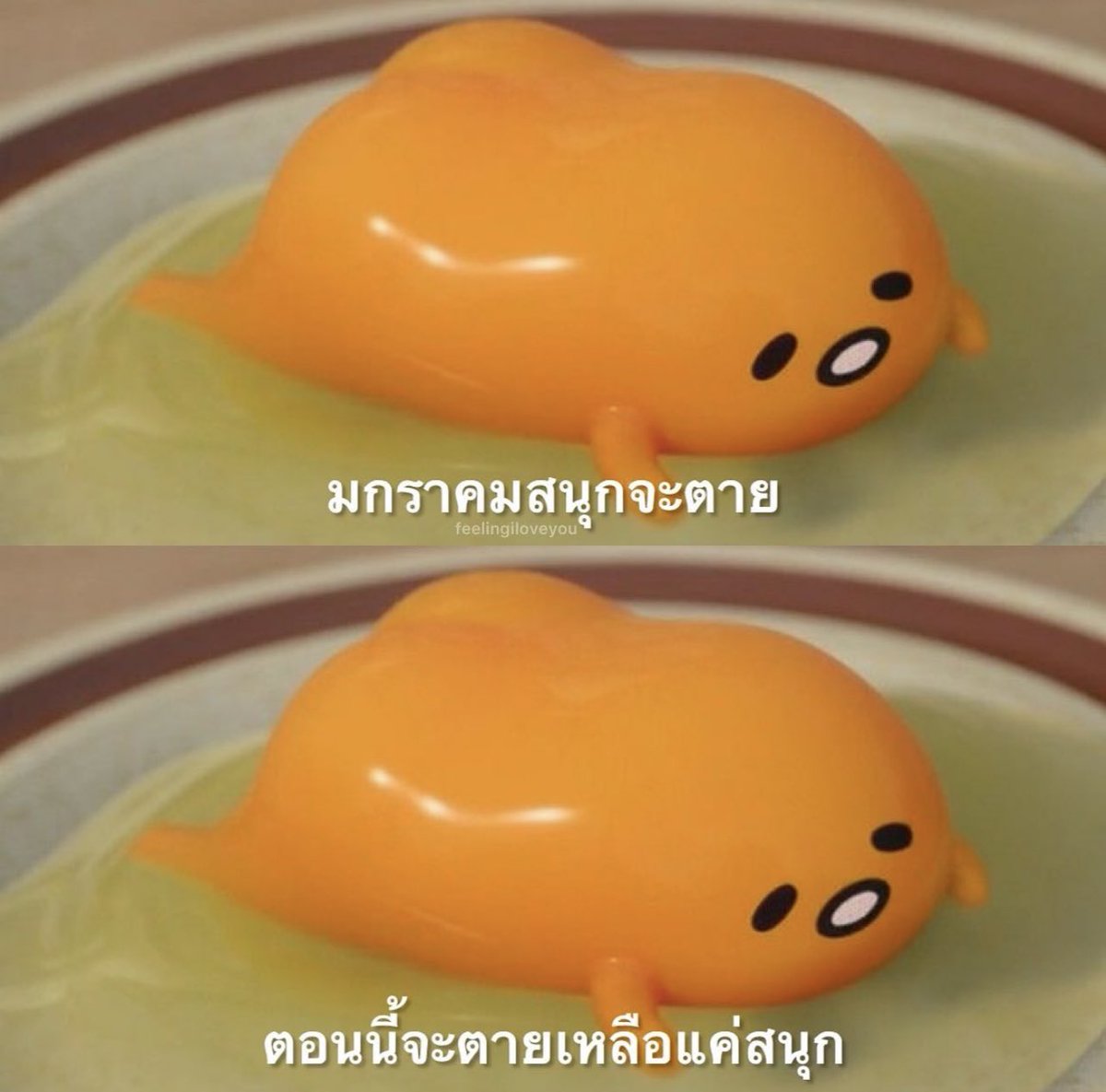 อีเหี้ย แม่งจริงชิบหาย5555555555555555555555555