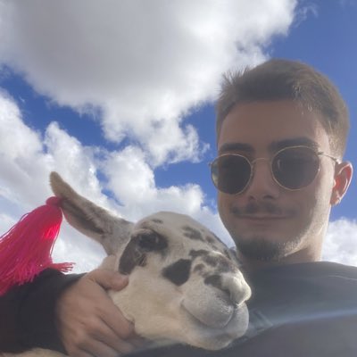 rodri_murillo12's tweet photo. #NovaFotoDePerfil https://t.co/n6NfPXdE4A