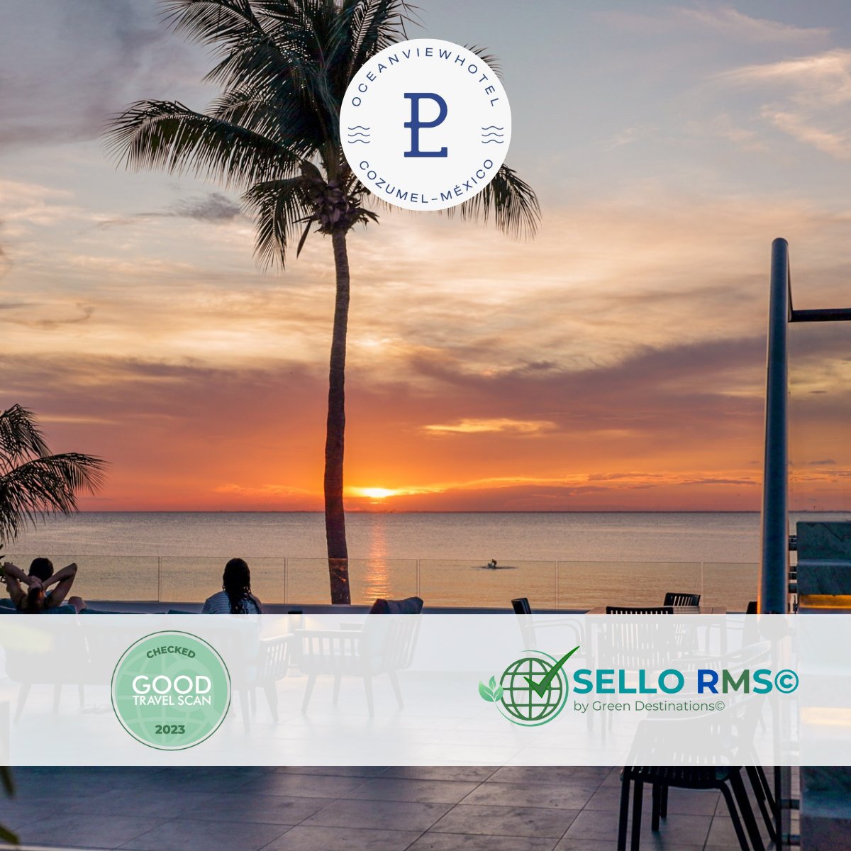 RivieraMayaSost's tweet photo. Hotel Puerto Libre, en Cozumel, ya es SELLORMS by @GreenDesti ♻️en su nivel de precertificación🎖️Destaca por su atención a los visitantes y por su amor y sus esfuerzos para proteger el planeta y la Isla.

🔗Reservas: https://t.co/HuVYb4f52s 🔗Web: https://t.co/SJcIbJZj0E https://t.co/d5PNGAflLx