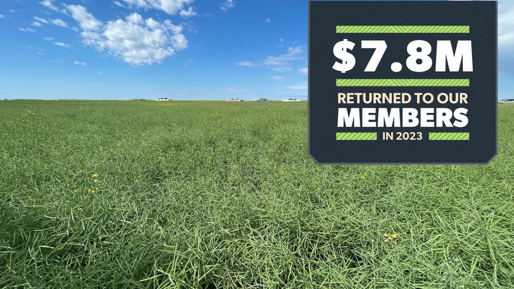 agrocoop_yxe's tweet photo. We are proud to be local, and to be part of community growth. Did you know that we gave $7.8M in cash back to our members last year? That's how we ensure we're giving back to our communities. Co-op. We're here for your farm. Here for your family. https://t.co/4wBRhsRqQM https://t.co/s8RZuxJ44Y