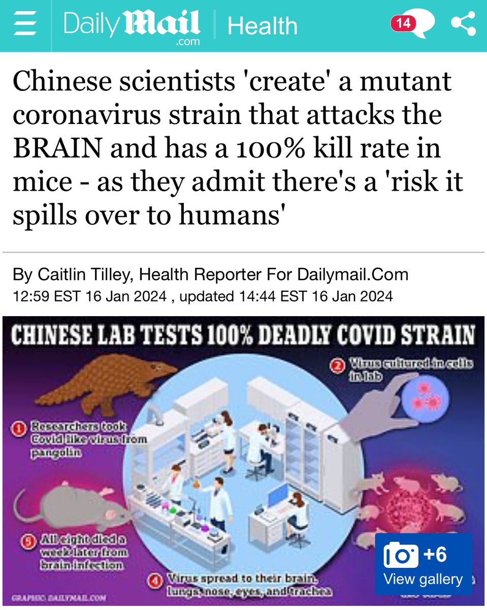 bennyjohnson's tweet photo. Yeah, maybe we should stop creating manmade viruses in Chinese labs https://t.co/bi4ptWK3gN