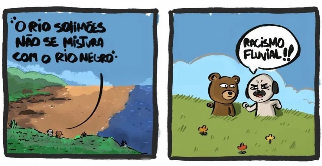 Glauconbraido's tweet photo. NATUREZA: o Rio Solimões não se mistura com o Rio Negro.
ANIELLE: isso é racismo fluvial!
#Neurose #RacismoEmTudo #Inapta https://t.co/03x6gTbbCJ