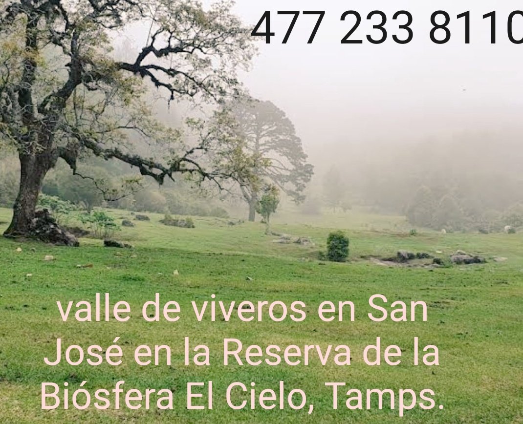CieloArriba's tweet photo. 📞477 233 8110
Face🔎 CieloArriba Renueva tu esperanza en la #naturaleza Hospedaje en la #reservanatural de la #BiósferaelCielo #Tamaulipas #CdVictoria #Matamoros #Reynosa #NL  #Monterrey #SLP #Tampico #Altamira #Valle  #ecoturismo  #TurismoDeAventura #gto #Dic #MexicoNatural https://t.co/BpSgGQ06V4