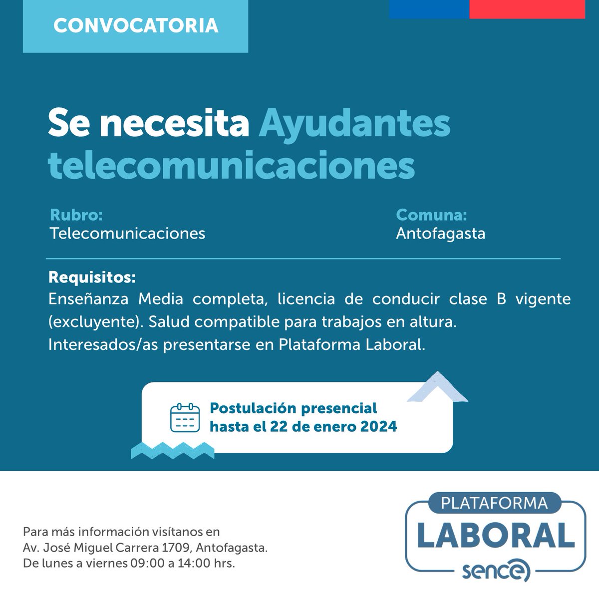 Sence Antofagasta tweet media