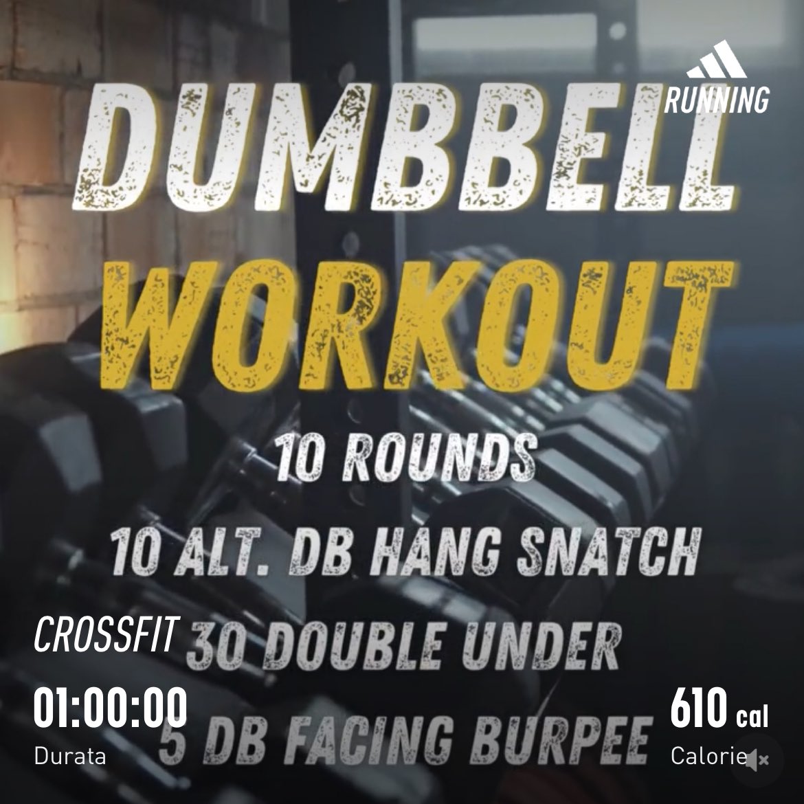 _cicciogallo_'s tweet image. 15’ warmup &amp;amp; mobility

20’ strength 
DB sited press
DB floor press
Parallel dip
Abs circuit

#ForTime 10round
10 alt kb #snatch
30 #doubleunder
5 #burpees FL
Res:14’10”

#crosstraining #whitecloud #wod #homewod #crossfit #workout #crossfitlasuperba #wodwell #dadhour