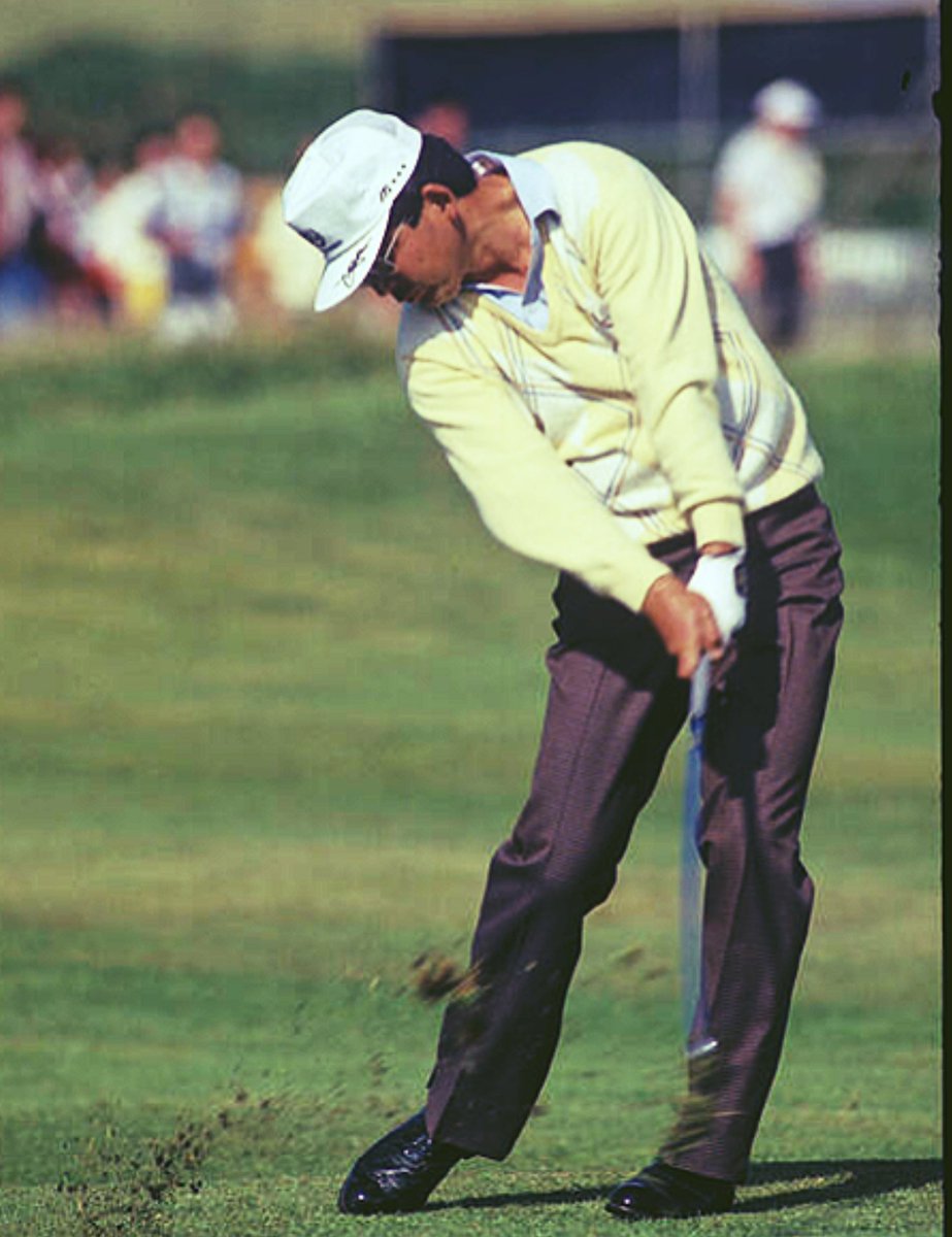 David Poulton tweet media