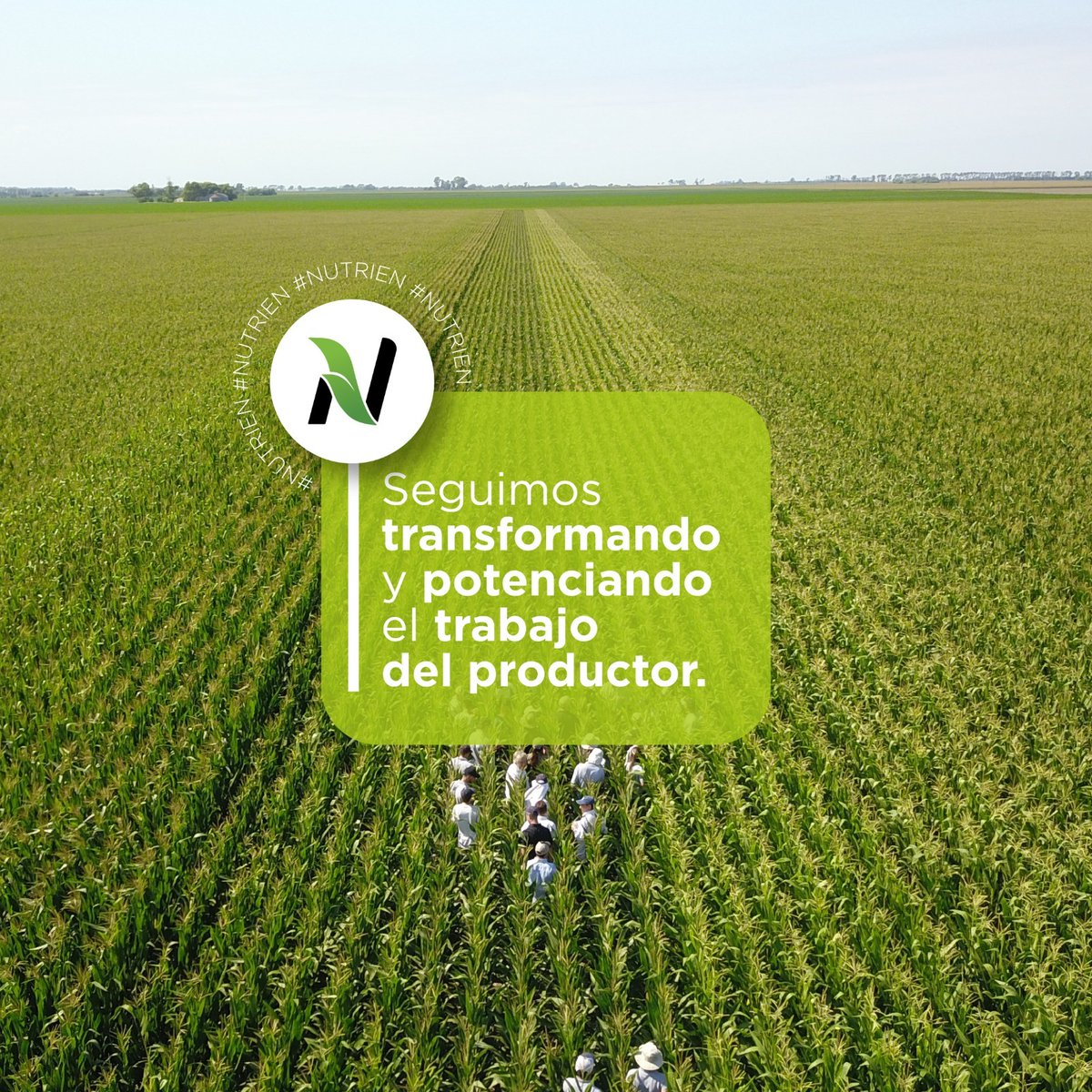 ➡️Somos Nutrien. Somos soluciones integradas para tu campo.
Día a día, acompañamos al productor y transformamos nuestro trabajo en resultados visibles.
✅Soluciones, nutrición y protección de cultivos, semillas, agronomía digital y más.
¡Trabajemos juntos y superemos resultados!