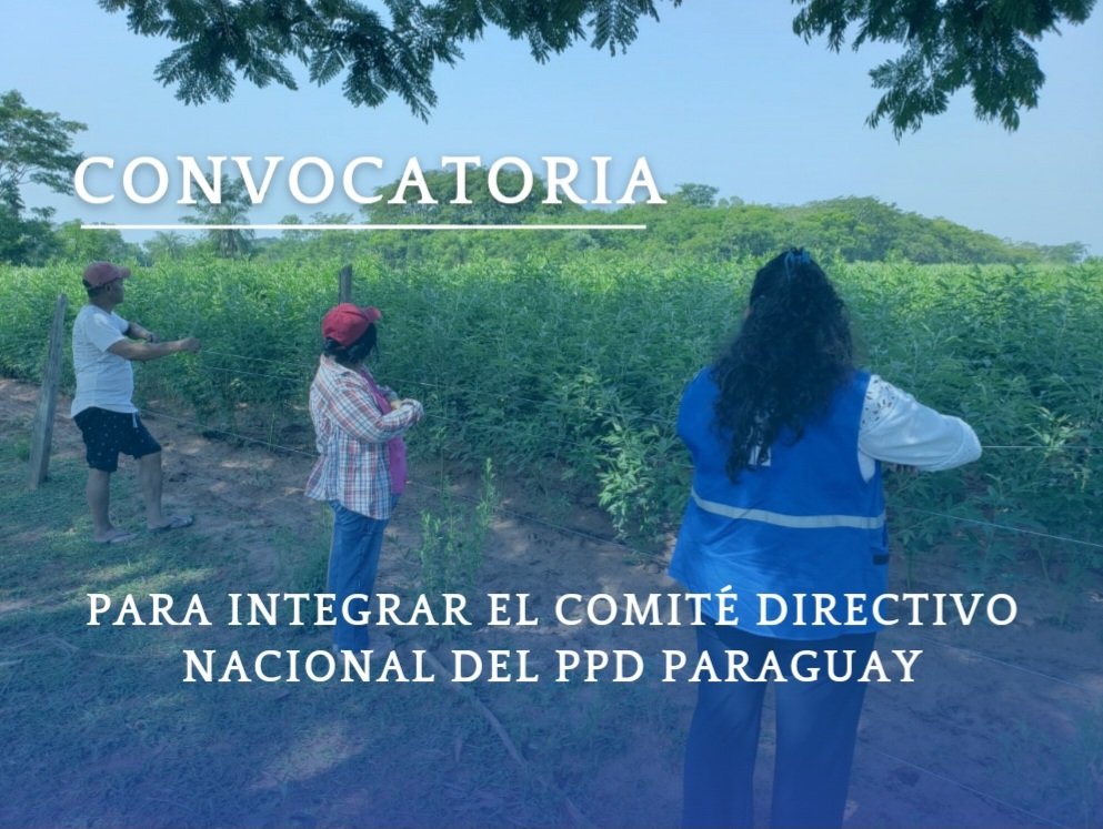 PNUD Paraguay tweet media