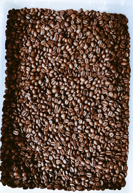 AfridamuGroup's tweet photo. ROASTED #COFFEE BEANS https://t.co/eJpGE6HJ1P
