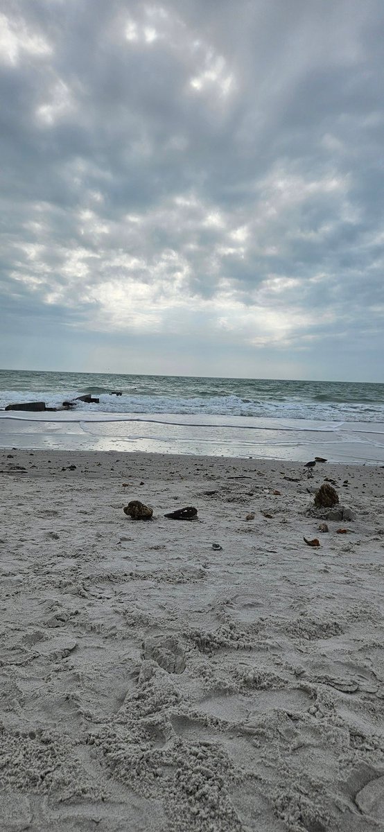 Pink1979's tweet image. I went #swimming #gulfofmexico #Gulf 62°