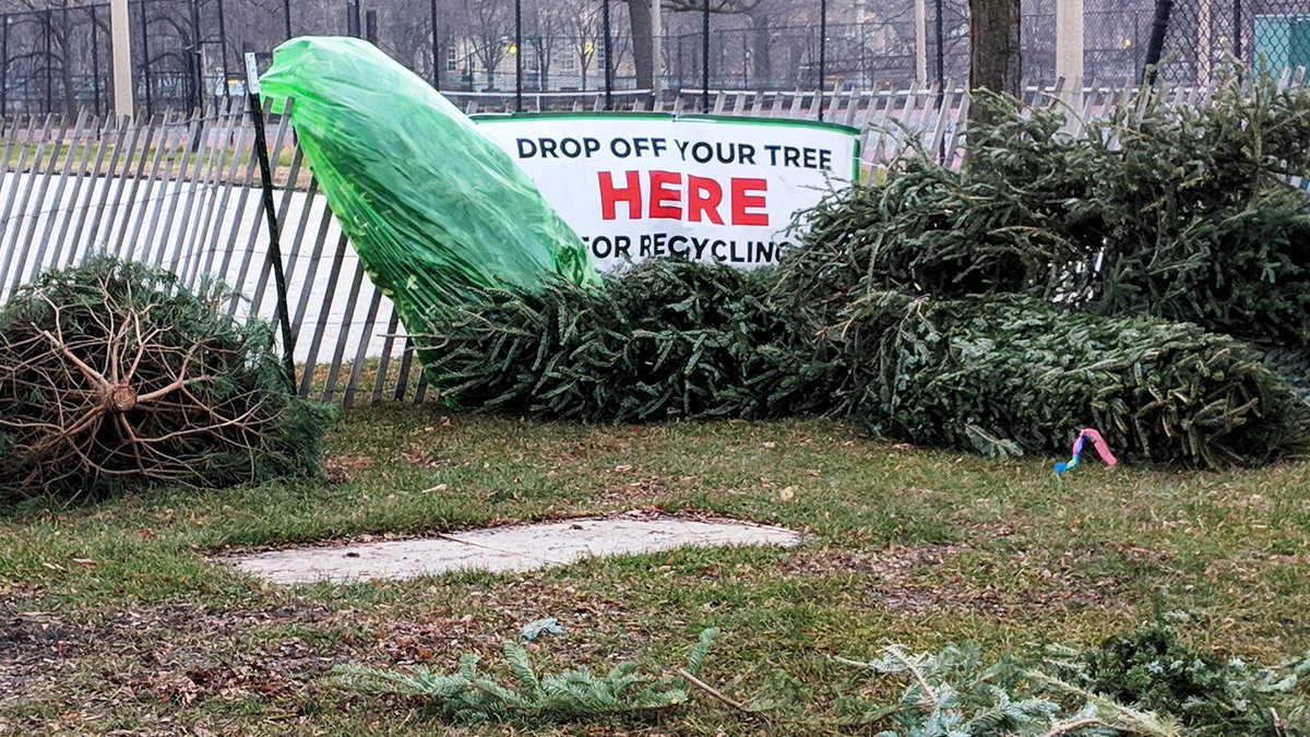 ChicagoParks's tweet photo. We β₯οΈ our πtrees too. But, it's time to let go. Don't just dump it. Keep that holiday spirit & do good by recycling β»οΈ it at any of the 27 locations available citywide.
βΆοΈVisit https://t.co/hyTlY6EvAU to find a nearby location. #TreeRecycle https://t.co/5IHcr7xSLB