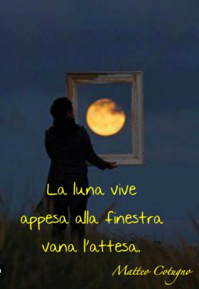 Buonanotte  cara Simona ,sogni belli!♥️🌟🌙🥰
@SimonaMascaro64
#DilloAllaLuna
#SensazioniPoetiche
#SalaLettura
#16gennaio

Addio mia luna
sospira piange il vento
un'altra bugia 
Haiku  (orofiorentino)