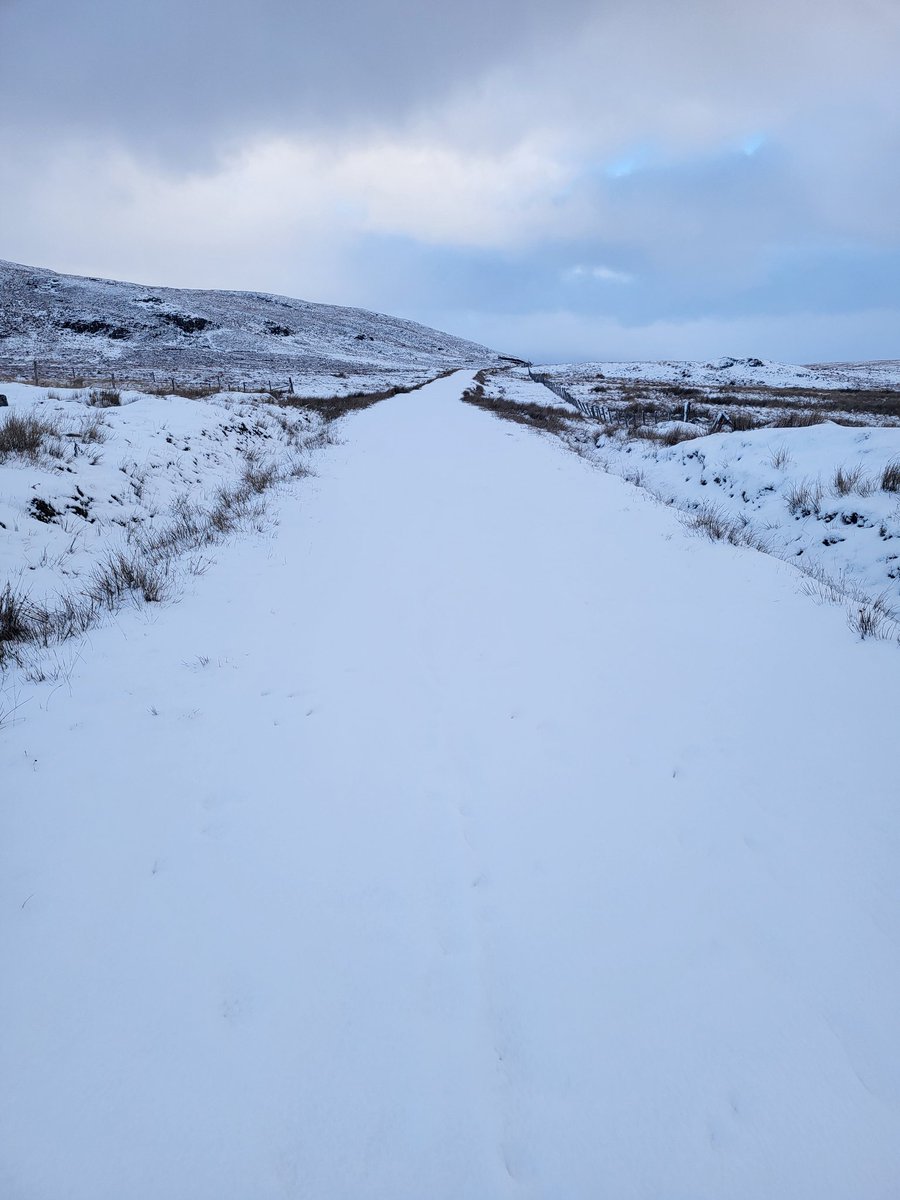 GillM_Morrison's tweet photo. Snowy scenes and company 🐑❄️
#isleoflewis #WFH #snowday https://t.co/Rja4ILa0N4