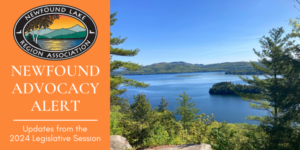 NewfoundRegion's tweet image. Important bills being heard 1/17/2024 with potential to protect Newfound Lake.  Take action and support!

See all 2024 legislation that can affect New Hampshire's lakes and more ways you can take action from our partner NH LAKES: loom.ly/QaBbkcY