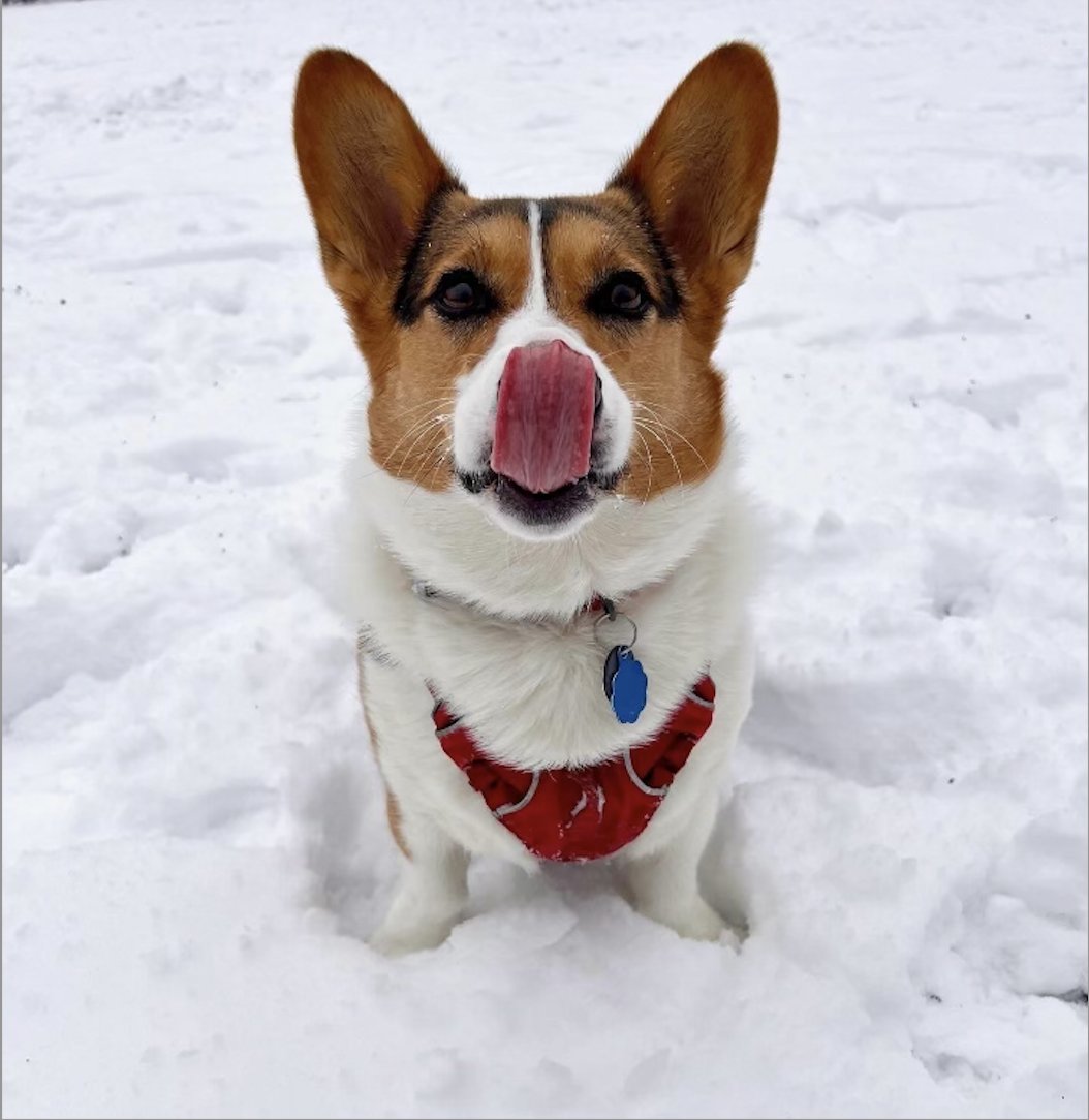 Alexandra Tunkel, MD tweet media