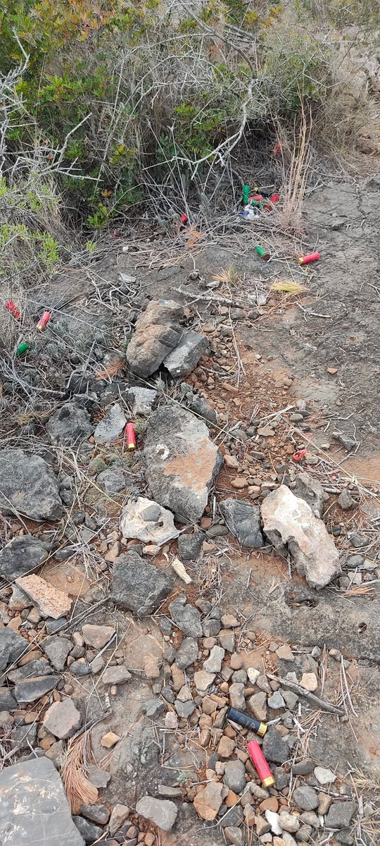 Hola, amics dels animals: si no és demanar massa, arreplegueu els cartutxos. N'hem vist més de 500 dins del <a href="/territoriespada/">Territori Espadà</a> #PNSerraEspadà.

Reguleu, <a href="/GVAMediAmbient/">M.Ambient Infraestructures Territori i Recuperació</a> <a href="/salomepradas/">Salomé Pradas Ten</a>