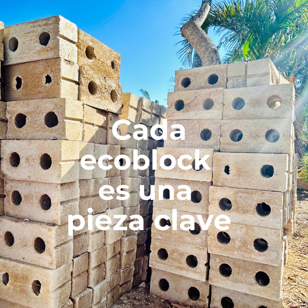 ÉCHALE tweet media