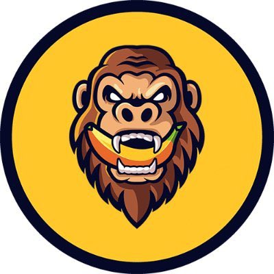 MinnesotaBA's tweet photo. @JakeGagain Donβt sleep on $GORILLA #GORILLA @gorillatokenio π¦π
#SUPEREARLY π https://t.co/RId8tnH16H