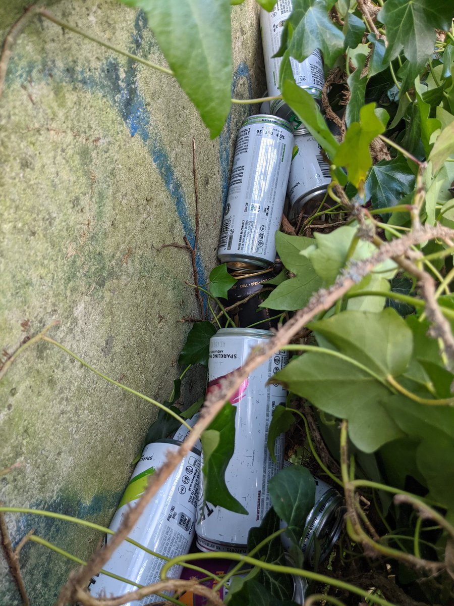 EricTorrington's tweet photo. A return visit to the party hedge that just keeps on giving up boozy cans. 170 #litter items gathered in all from disused #railway track #Drycott #Cam #Gloucestershire. https://t.co/mHxTl8aHLk
