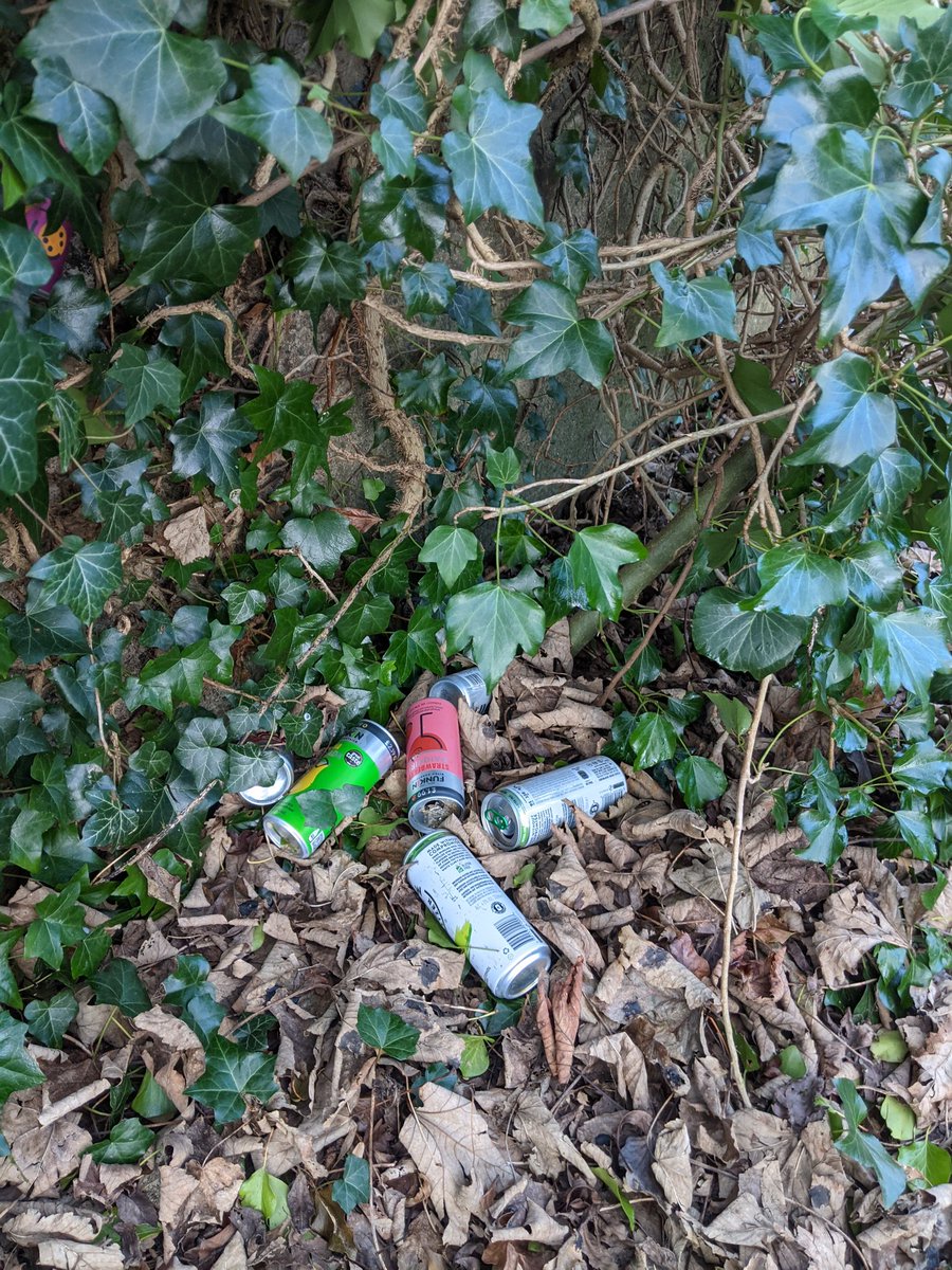 EricTorrington's tweet photo. A return visit to the party hedge that just keeps on giving up boozy cans. 170 #litter items gathered in all from disused #railway track #Drycott #Cam #Gloucestershire. https://t.co/mHxTl8aHLk