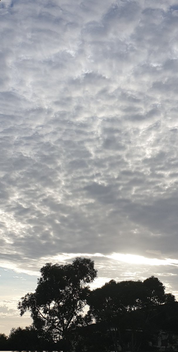 CherScheff's tweet image. A cloudy sunrise 
Wednesday ☁️🇦🇺
Good morning 🌥⛈
Sydney skies
#Sydneyweather