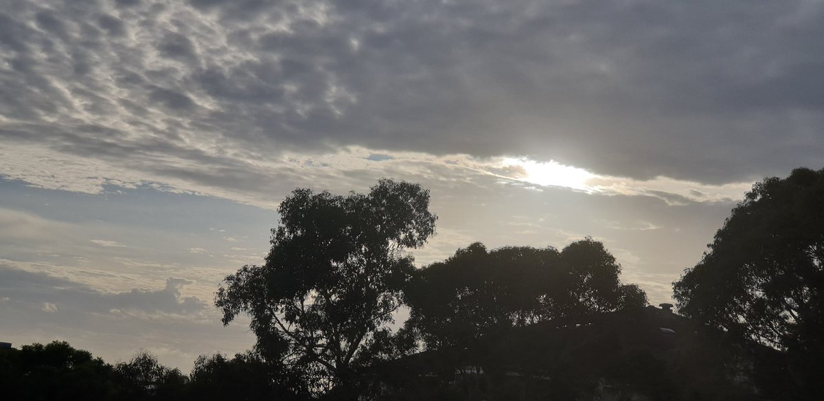 CherScheff's tweet image. A cloudy sunrise 
Wednesday ☁️🇦🇺
Good morning 🌥⛈
Sydney skies
#Sydneyweather