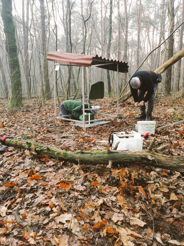 Laura Garzoli tweet media