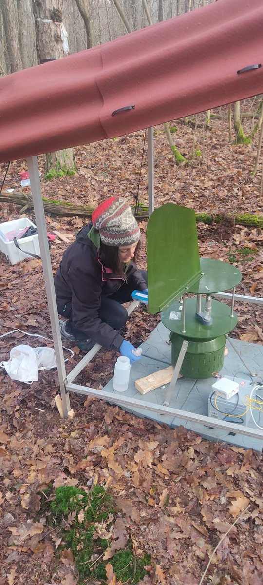 Laura Garzoli tweet media