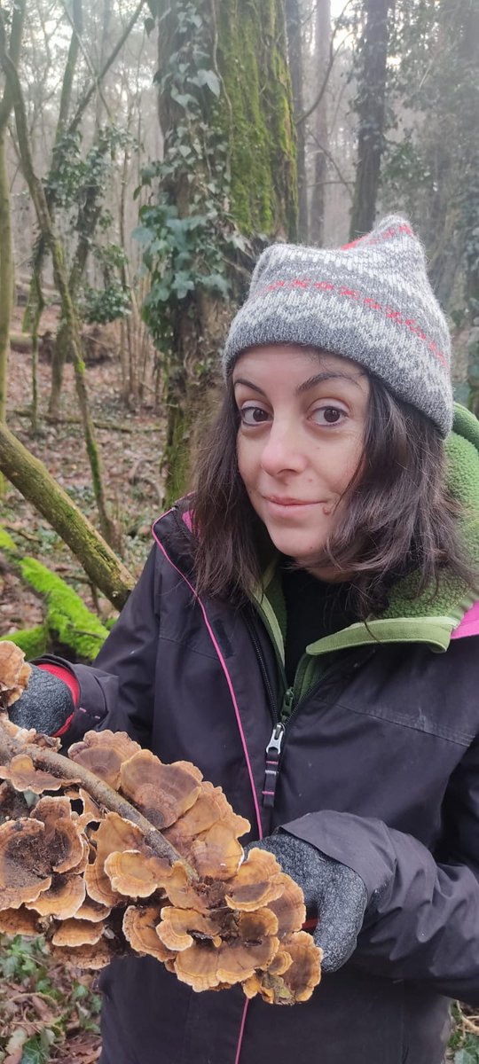 Laura Garzoli (@lauragarzoli) on Twitter photo At <a href="/cnr_irsa/">CNR IRSA</a> it's time to switch to our natural Lake Maggiore site for sampling global biodiversity for <a href="/LifeplanProject/">Lifeplan</a>. Ready to discover what's hidden in the <a href="/ParcoTicinoPiem/">ParcoTicinoPiemonte</a> woods! At <a href="/cnr_irsa/">CNR IRSA</a> it's time to switch to our natural Lake Maggiore site for sampling global biodiversity for <a href="/LifeplanProject/">Lifeplan</a>. Ready to discover what's hidden in the <a href="/ParcoTicinoPiem/">ParcoTicinoPiemonte</a> woods!