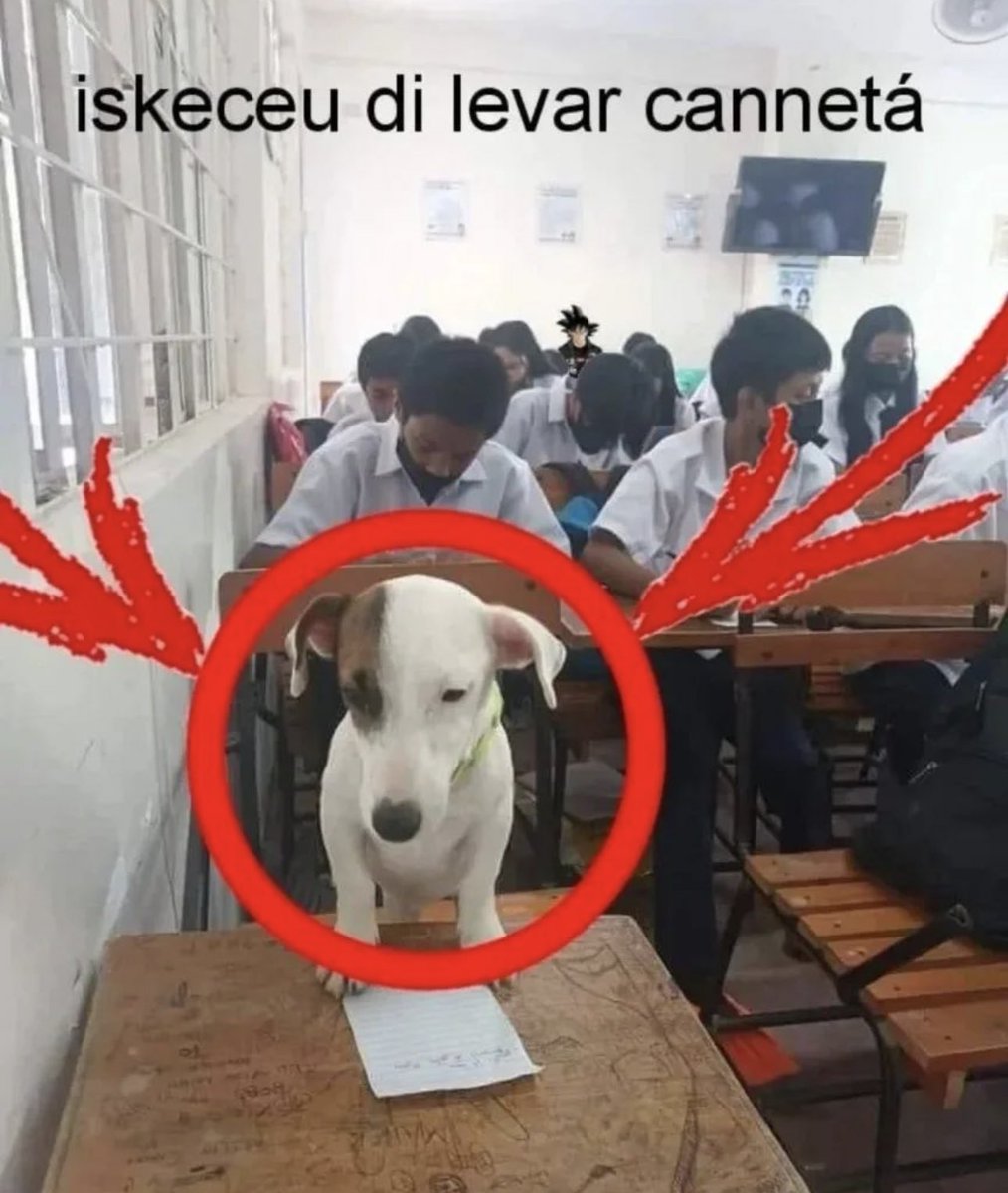 shitpostverdade's tweet photo. https://t.co/4dia2XWhsw