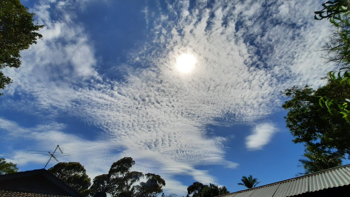 Xanadu251's tweet photo. @MareeSolaris Easy to pick . #lookup. #geosky https://t.co/vTlzuKnEUC