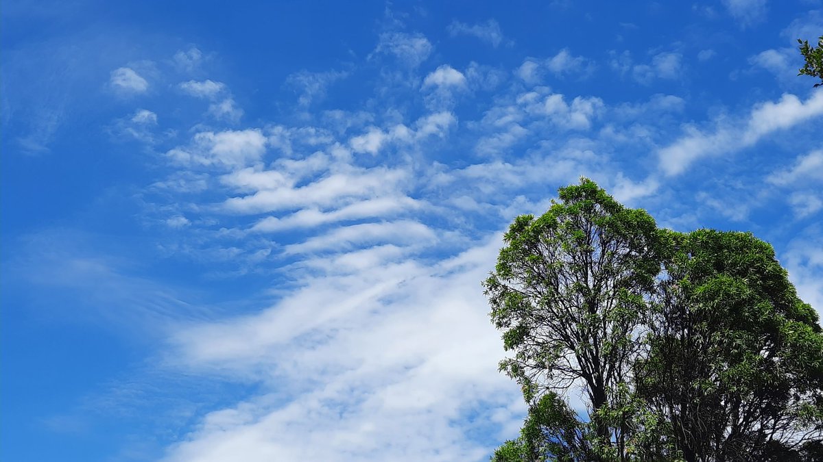 Xanadu251's tweet photo. @MareeSolaris Easy to pick . #lookup. #geosky https://t.co/vTlzuKnEUC