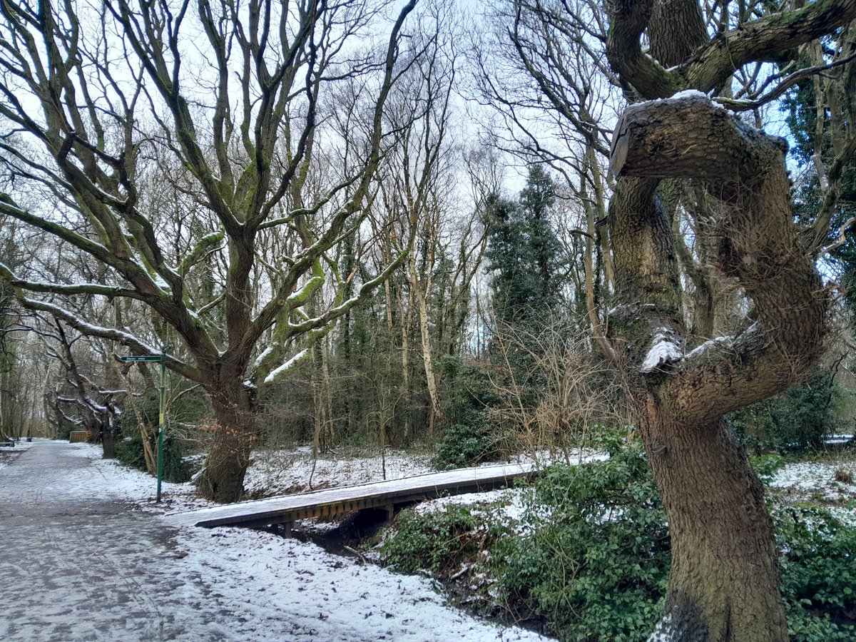 antoniapike1's tweet photo. Lovely lunch break walk in the snow to take some time from my laptop today. Was walking on it before it froze and became ice. Saw Robins, squirrels and maybe a vole #snowday https://t.co/sz9s9eIVb8
