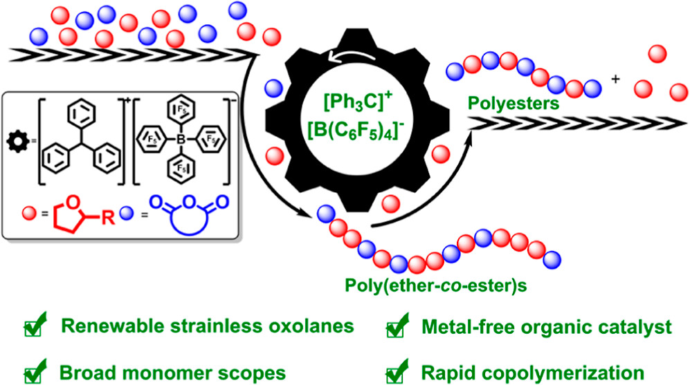 MacroJrnls_ACS's tweet photo. “In summary, organo-catalyzed cationic ROCOP of renewable oxolanes with low-ring tension and cyclic anhydride was proved to be a promising approach to alternating #polyesters.”

Read the article here ➡ https://t.co/k6FysYkIKP

🧵2/4 https://t.co/s5I1RetYSU