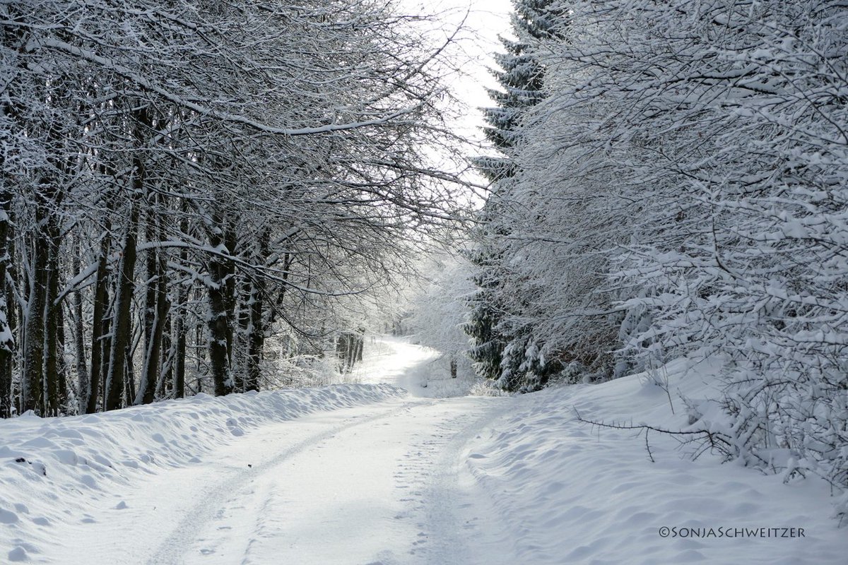 HessenSonja5767's tweet photo. Impressionen vom Knoten im Westerwald.........…................ #Greifenstein #Arborn #Knoten #Schnee #Winter #Natur #Westerwald #Ausflugsziel #Ausflugstipp #Windpark #Mittelgebirge #LahnDillKreis #LDK #Mittelhessen #Hessen #Germany https://t.co/vydJwLp1lO