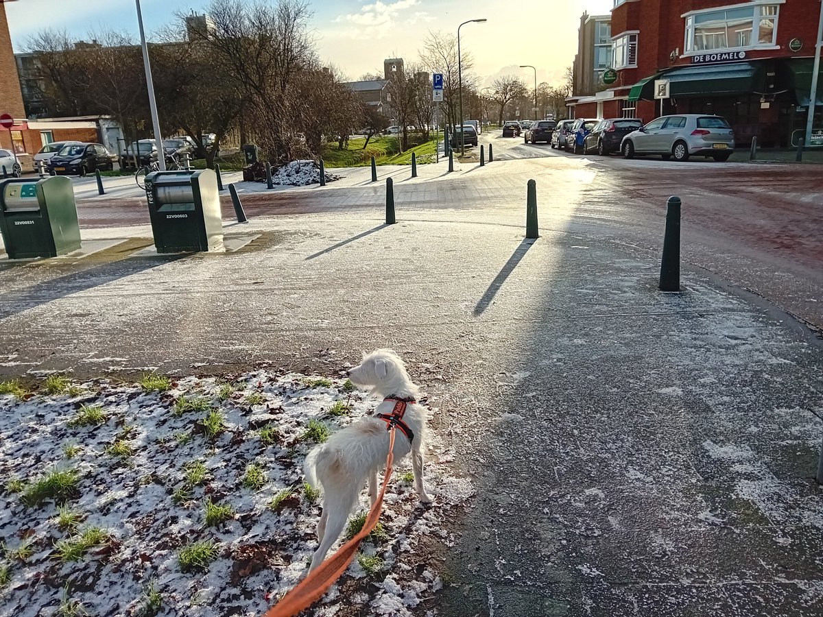 MixPaddy's tweet photo. Just a little bit of snow https://t.co/Vgy7uh7QFj