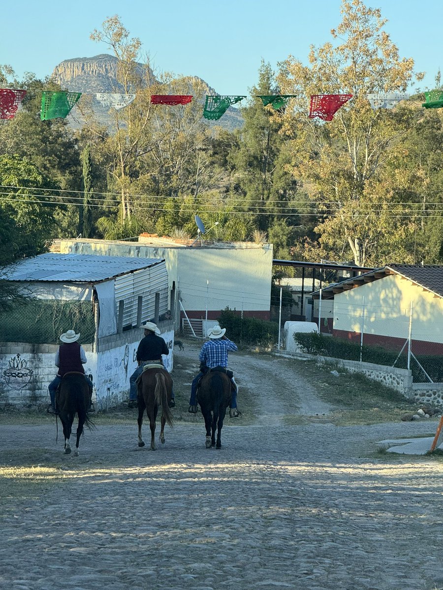 Barbilla_rojaa's tweet photo. Otra semanita y fuga pa la feria 🥳✨ https://t.co/RzsOtHiyWX