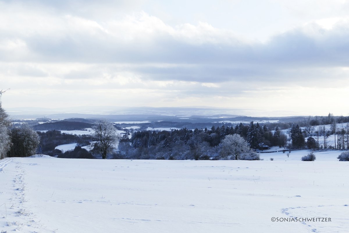 HessenSonja5767's tweet photo. Impressionen vom Knoten im Westerwald.........…................ #Greifenstein #Arborn #Knoten #Schnee #Winter #Natur #Westerwald #Ausflugsziel #Ausflugstipp #Windpark #Mittelgebirge #LahnDillKreis #LDK #Mittelhessen #Hessen #Germany https://t.co/vydJwLp1lO