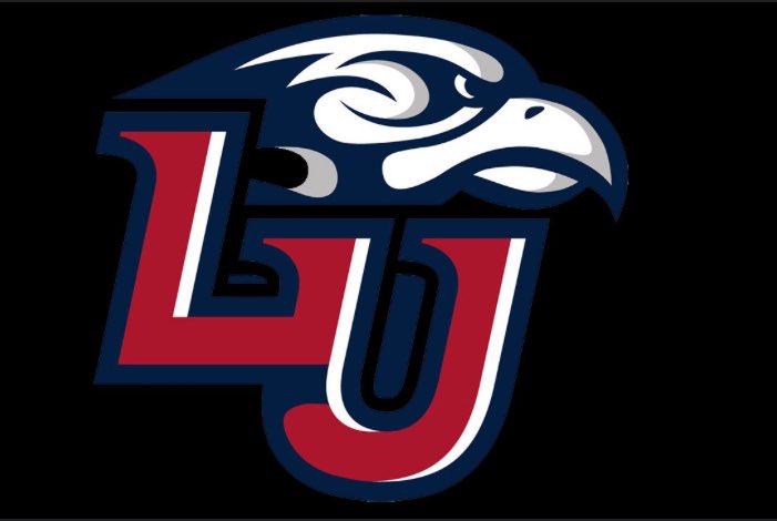 Blessed to receive an offer from liberty @Coach_Ladutko @coachSamGreiner @WCLionsRecruits @92waysfootball @CoachRWilliams7