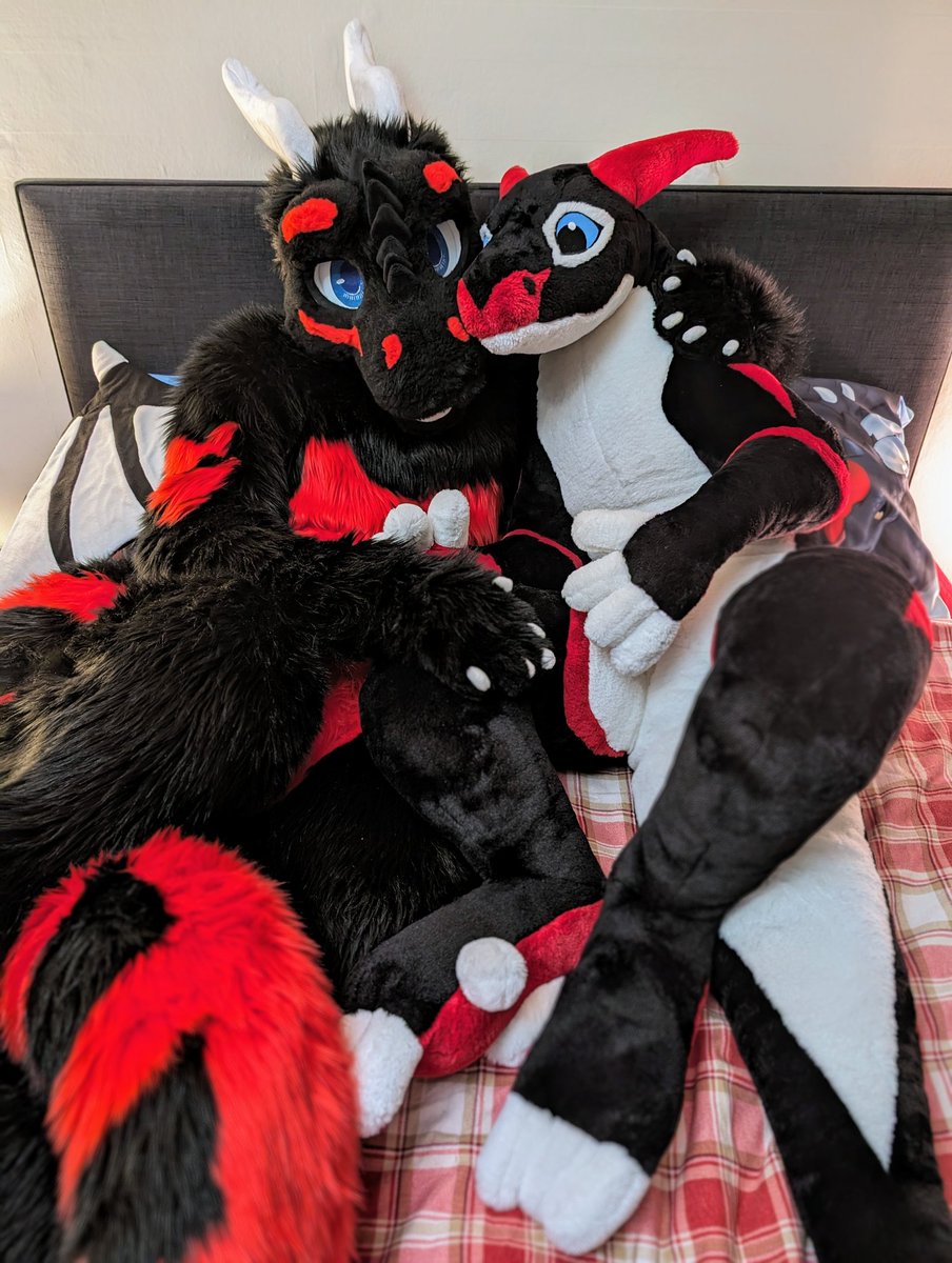 It's #DragonAppreciationDay so here I am appreciating!

Fursuit by <a href="/WintersHowling/">Winters Howling</a>
Toomi by <a href="/PlushLife_eu/">PlushLife</a>
Photo by <a href="/firestweet/">Firesuite</a>