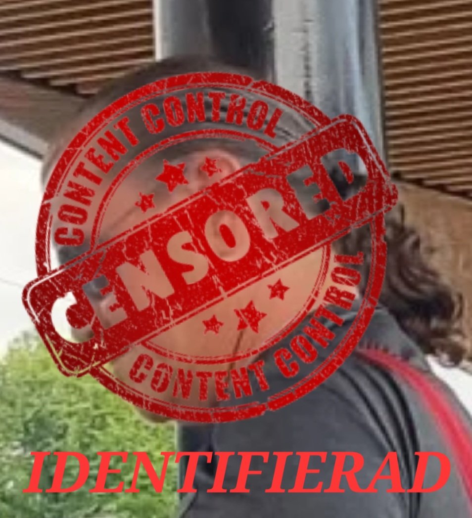 SARA Nilsson tweet media