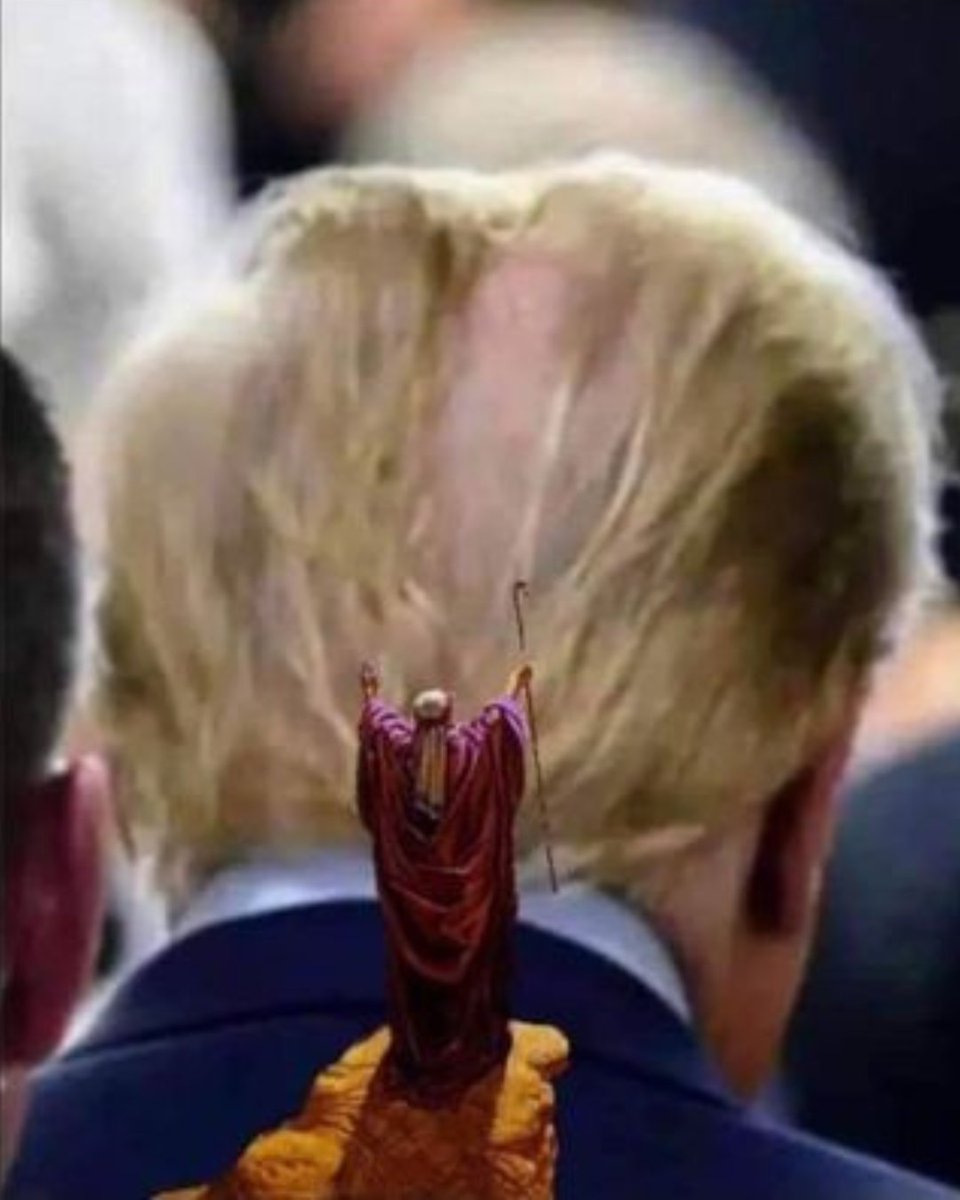 SlavaDeBonkski's tweet photo. @MotorflyJAB @Motabhai012 @LauraLoomer @TeamTrump #TrumpHair #MonkeysAss #RatsAss #TrumpSmells #TrumpSmellsLikePutinsAss https://t.co/Fdf8xxUekB