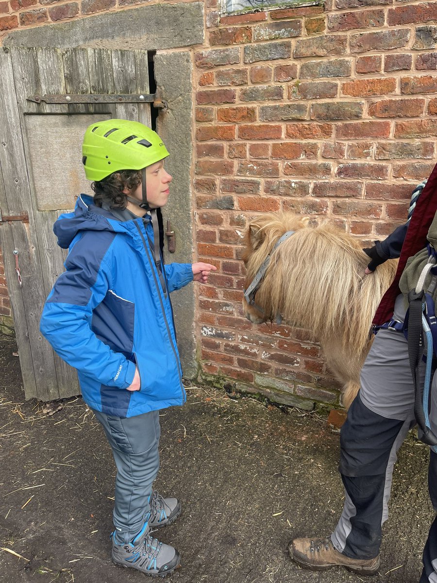 PDCrosbyHigh's tweet photo. We met Cindy the pony and Donk the donkey today. It was very exciting to get up close to the animals and see how friendly they are 🫏@ChetCentre https://t.co/6JiQLbJfag