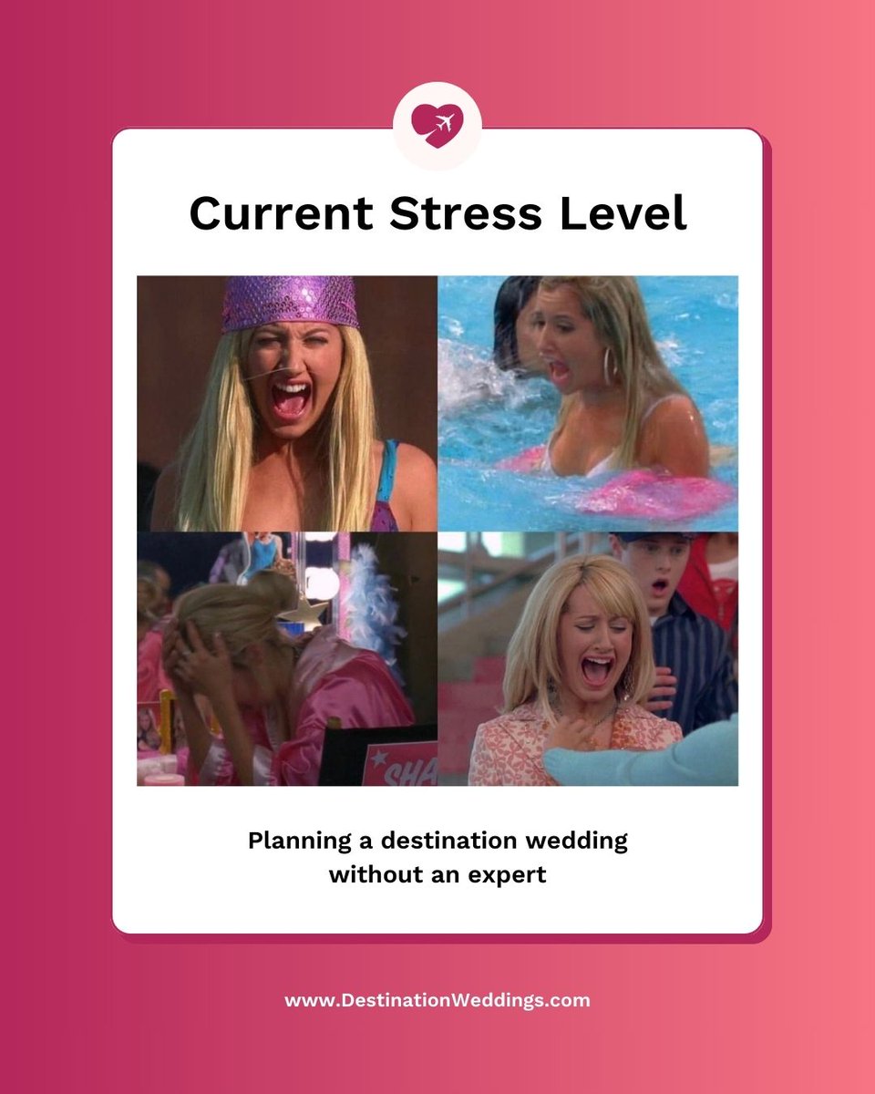 DestinationWeddings tweet media