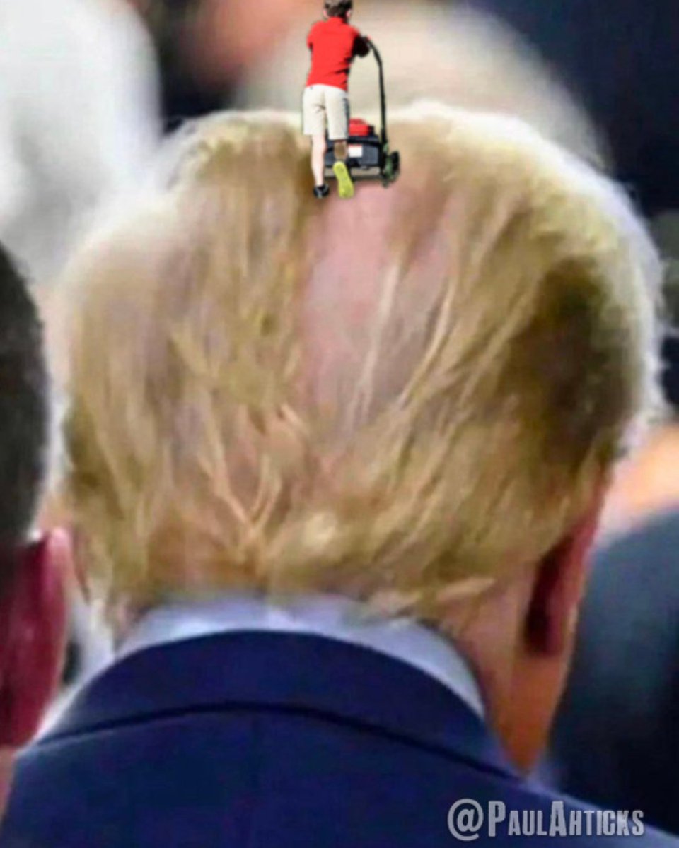 SlavaDeBonkski's tweet photo. @MotorflyJAB @Motabhai012 @LauraLoomer @TeamTrump #TrumpHair #MonkeysAss #RatsAss #TrumpSmells #TrumpSmellsLikePutinsAss https://t.co/Fdf8xxUekB